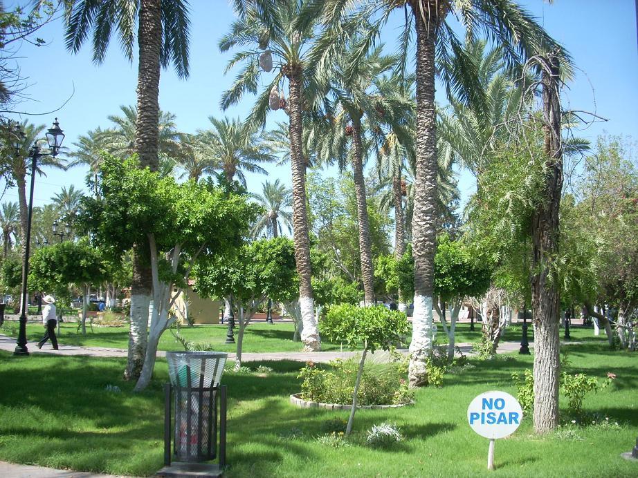 Foto de San Luis R.C. (Sonora), México