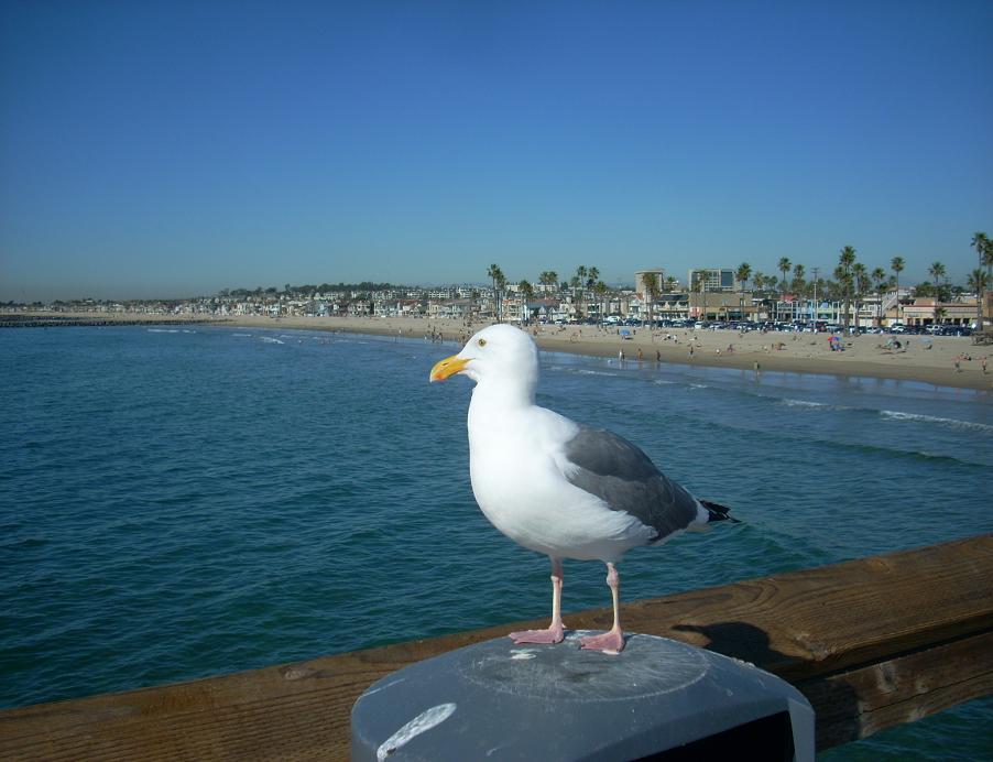 Foto de Los Angeles (California), Estados Unidos