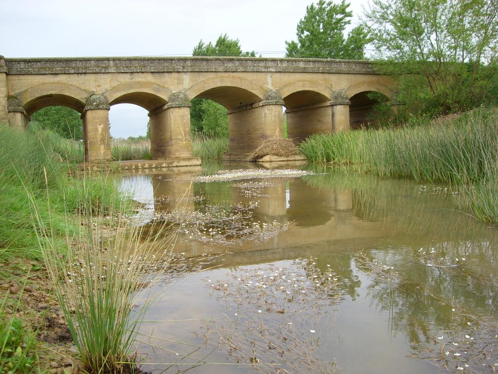Foto de Santervás de Campos (Valladolid), España