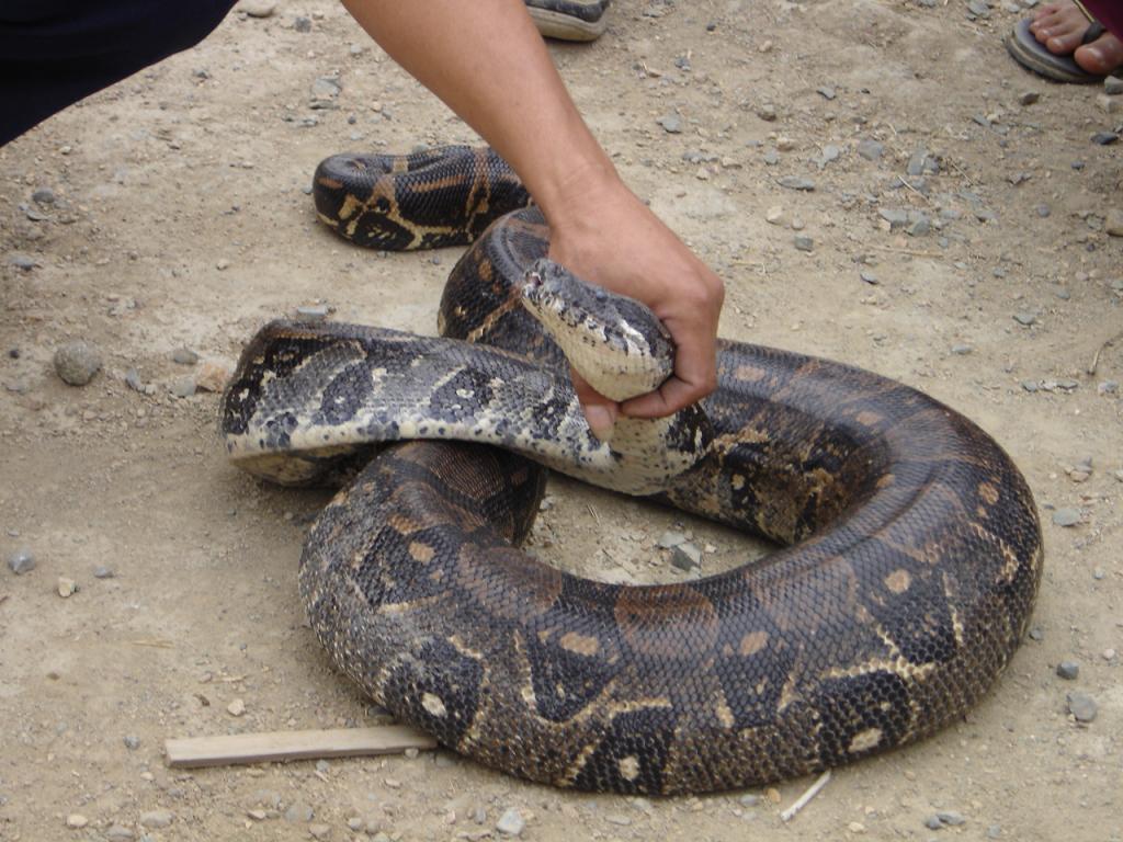 Foto de Duran, Ecuador