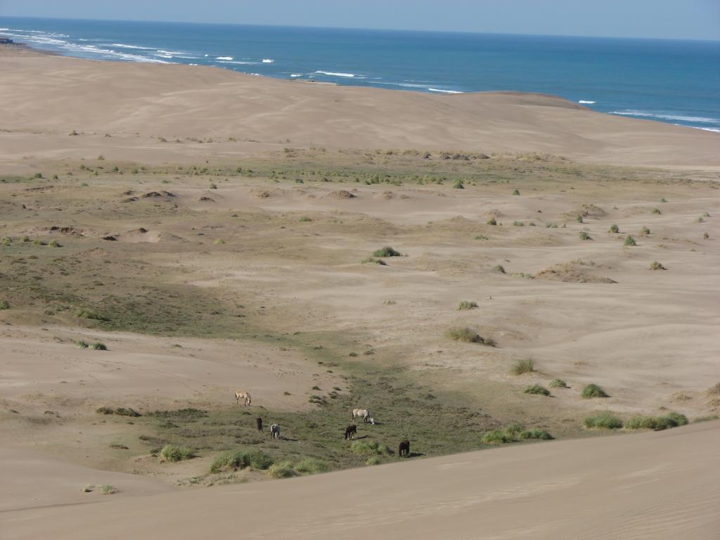 Foto de Necochea, Argentina