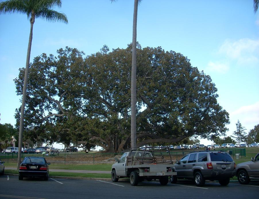 Foto de San Diego (California), Estados Unidos