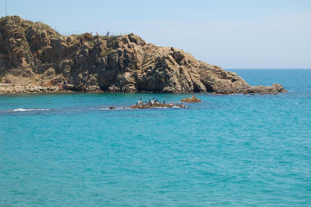 Foto de Blanes (Girona), España