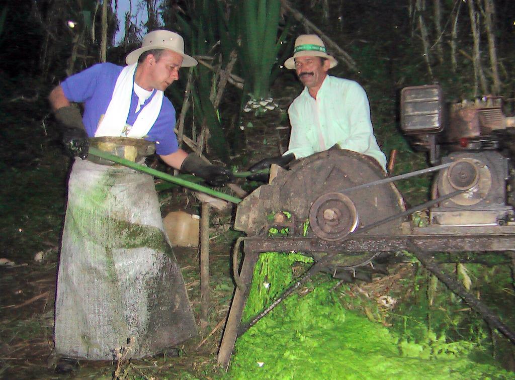 Foto de San Vicente Ferrer (Antioquia), Colombia
