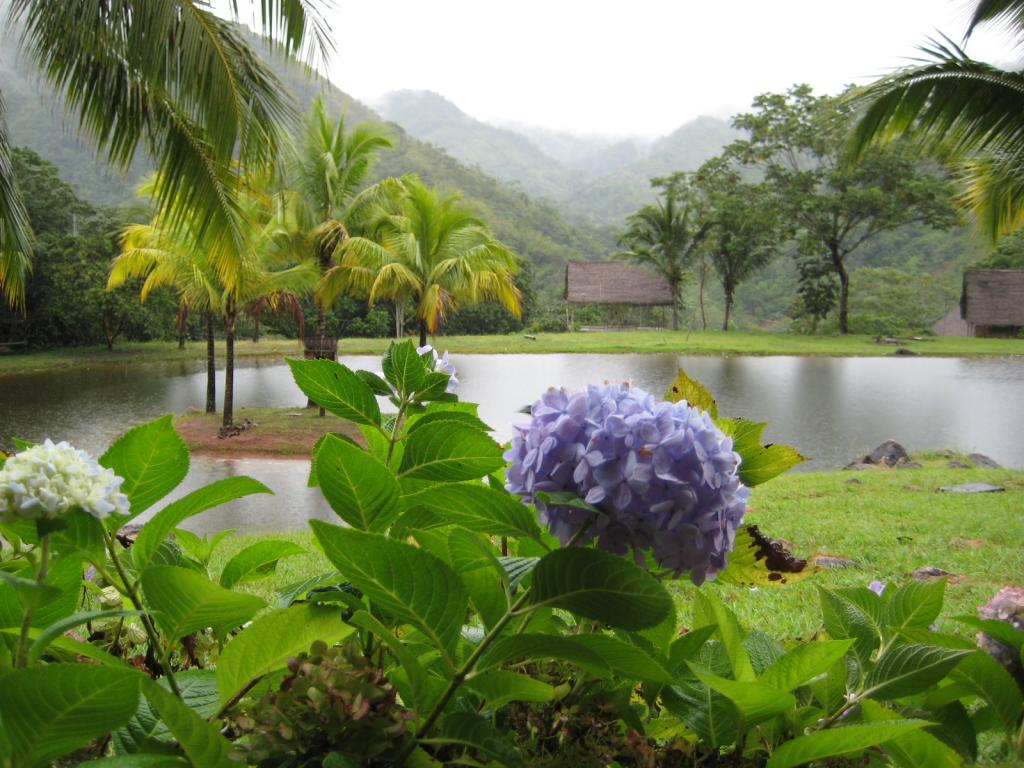 Foto de Chanchamayo (Junin), Perú