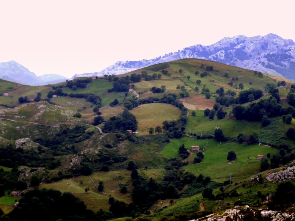 Foto de Alisas (Cantabria), España