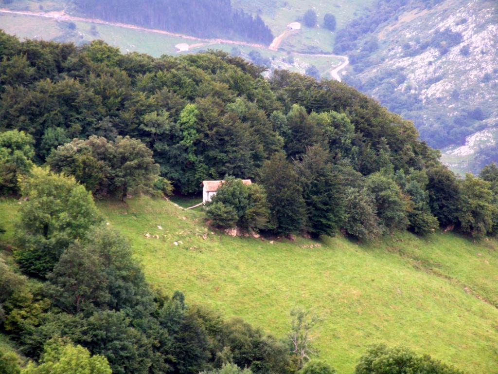 Foto de Alisas (Cantabria), España