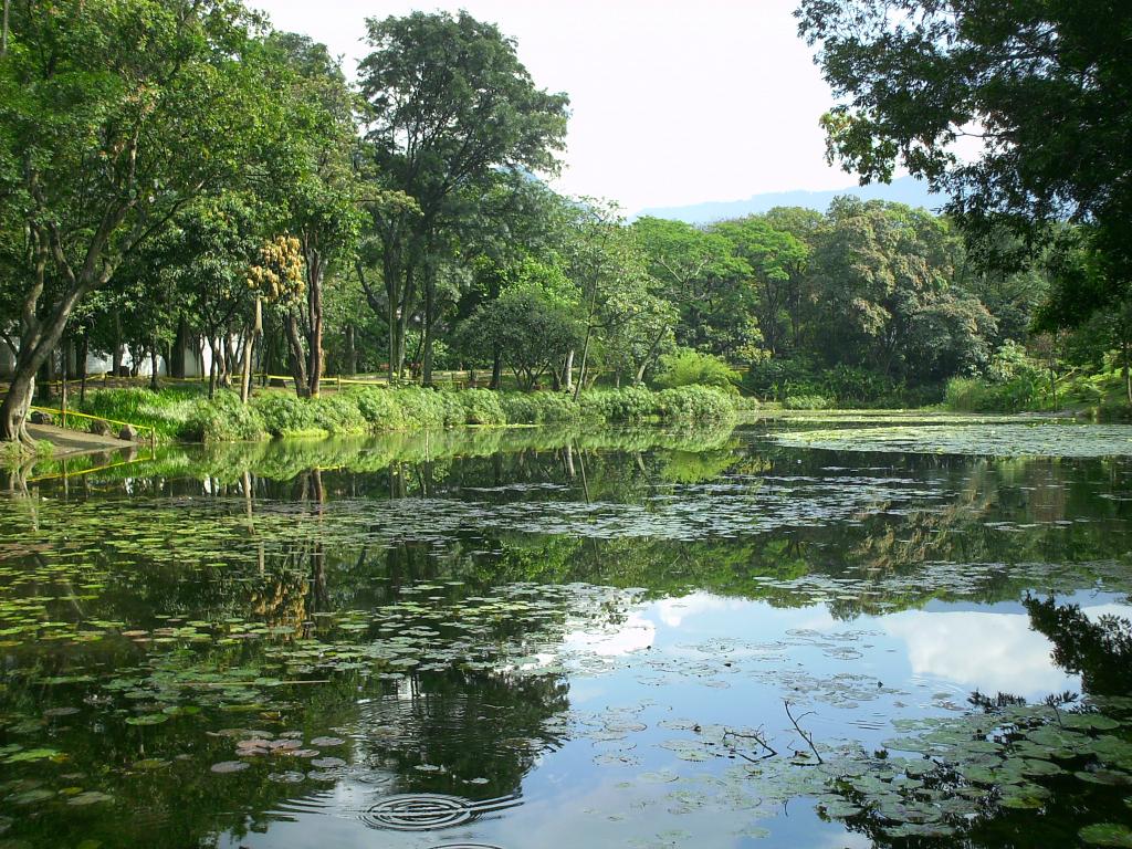 Foto de Medellin, Colombia