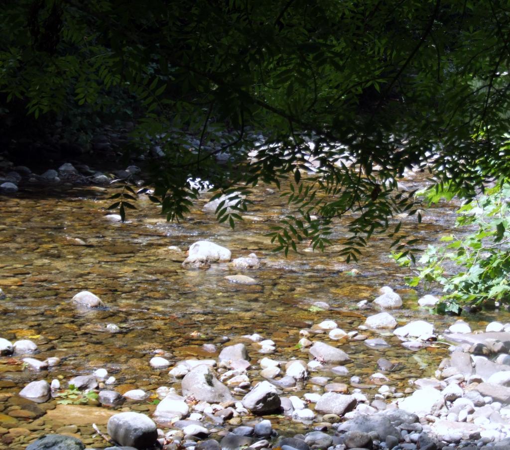 Foto de Angustina (Cantabria), España