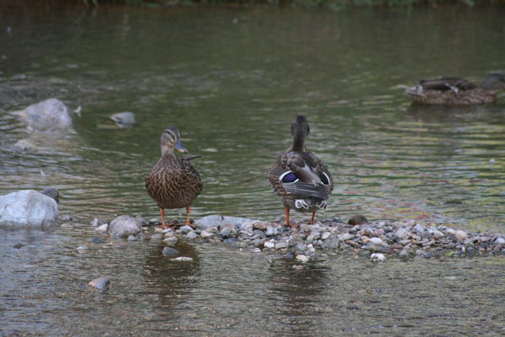 Foto de Cerdanyola del Valles (Barcelona), España