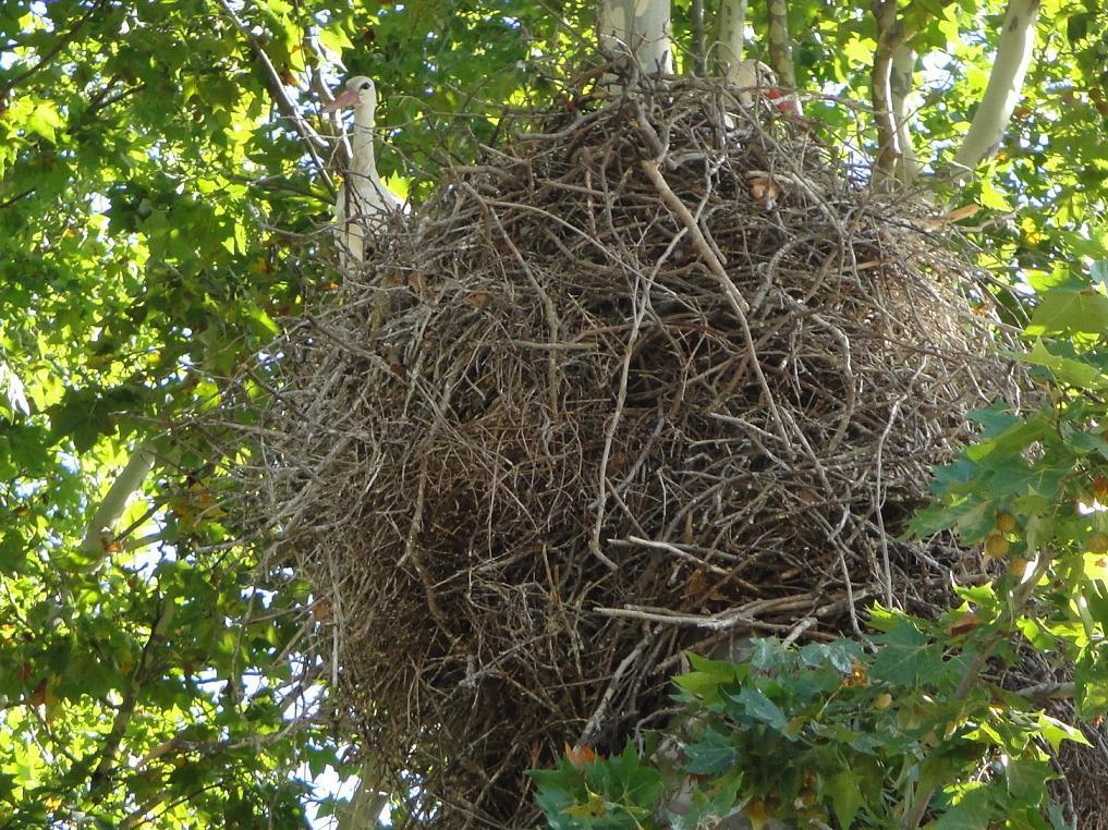 Foto de Peralada (Girona), España