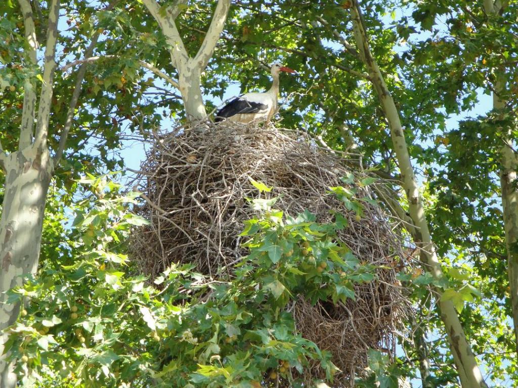 Foto de Peralada (Girona), España