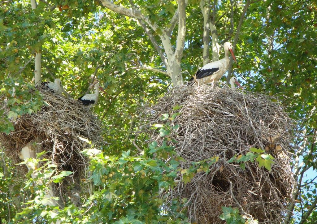 Foto de Peralada (Girona), España