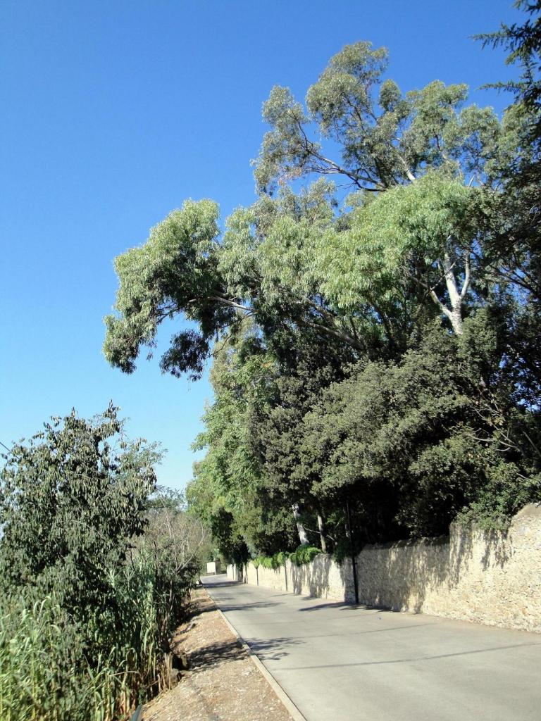 Foto de Peralada (Girona), España
