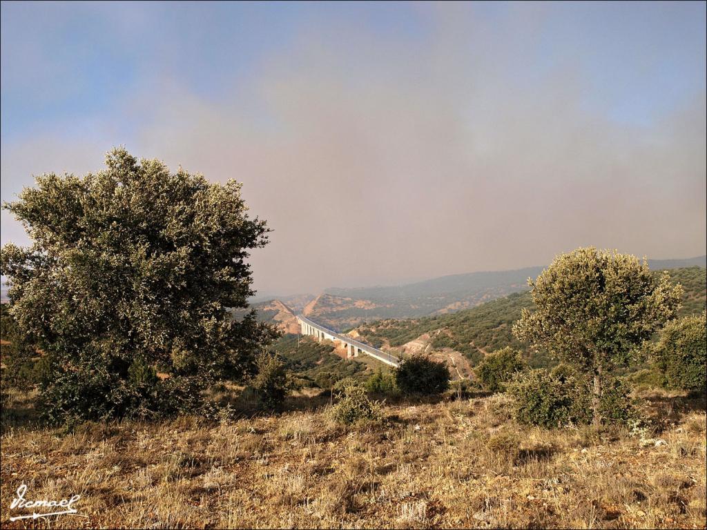 Foto de Sagides (Soria), España