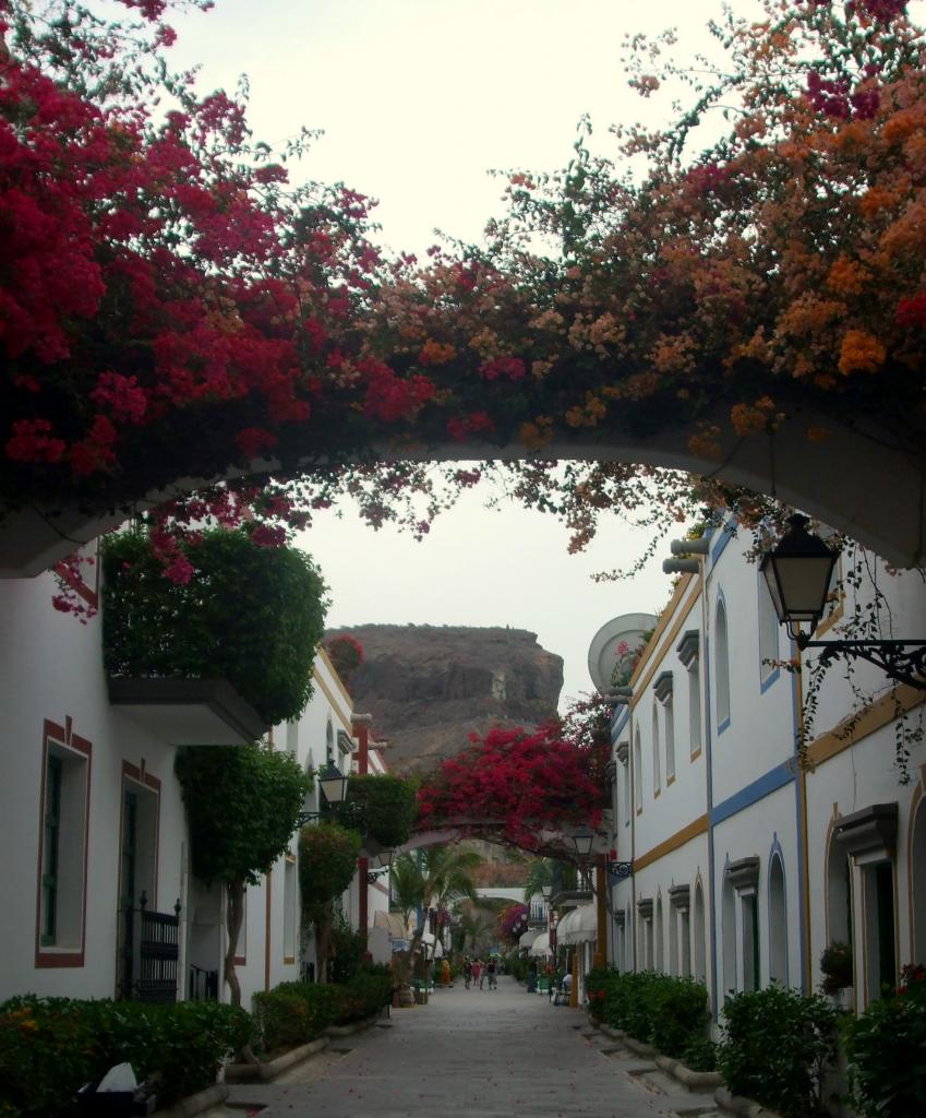 Foto de Puerto de Mogan (Las Palmas), España