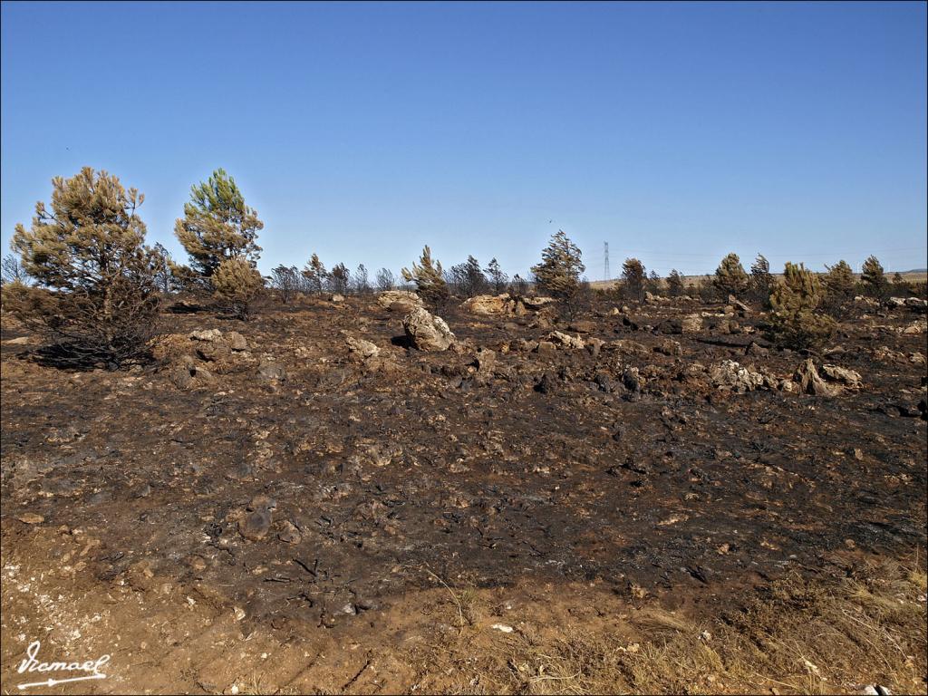 Foto de Layna (Soria), España
