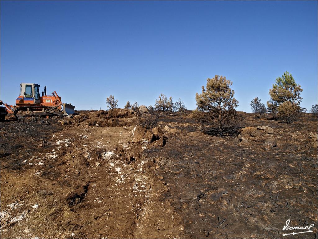Foto de Layna (Soria), España