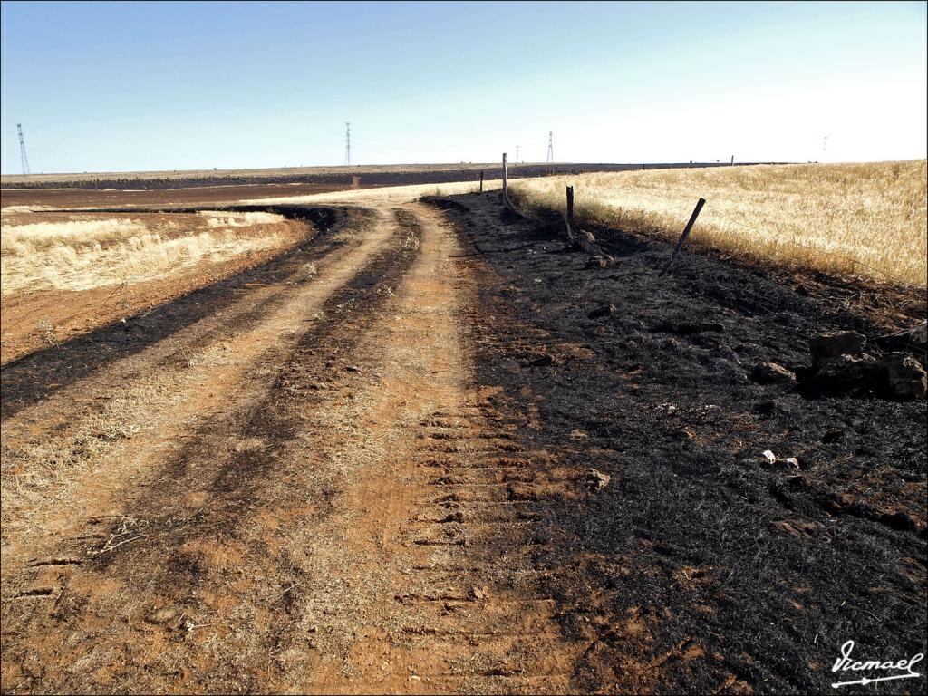 Foto de Layna (Soria), España