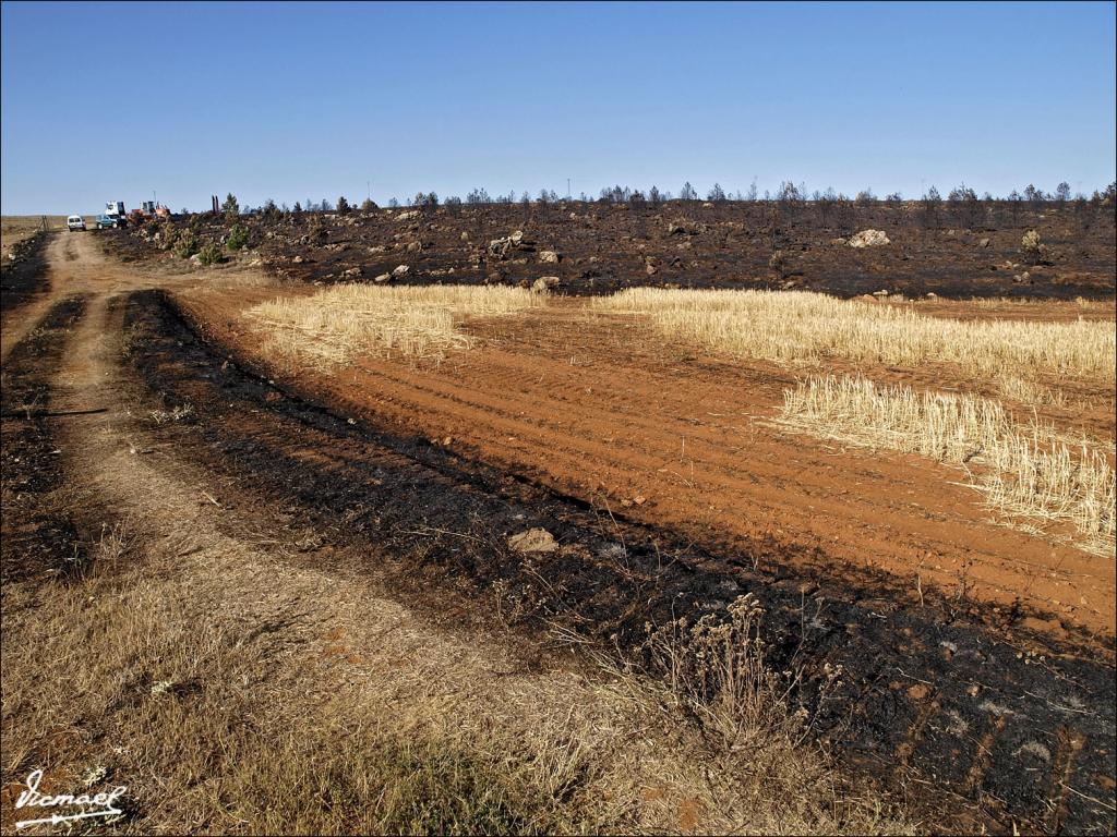 Foto de Layna (Soria), España