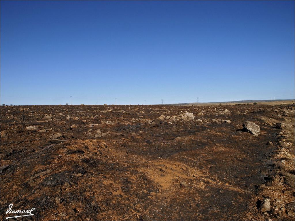 Foto de Layna (Soria), España