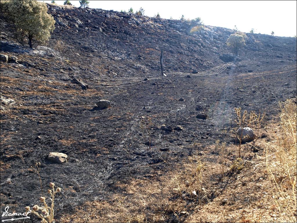 Foto de Layna (Soria), España