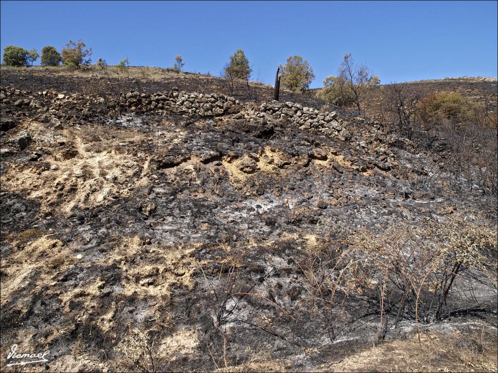 Foto de Urex de Medinaceli (Soria), España
