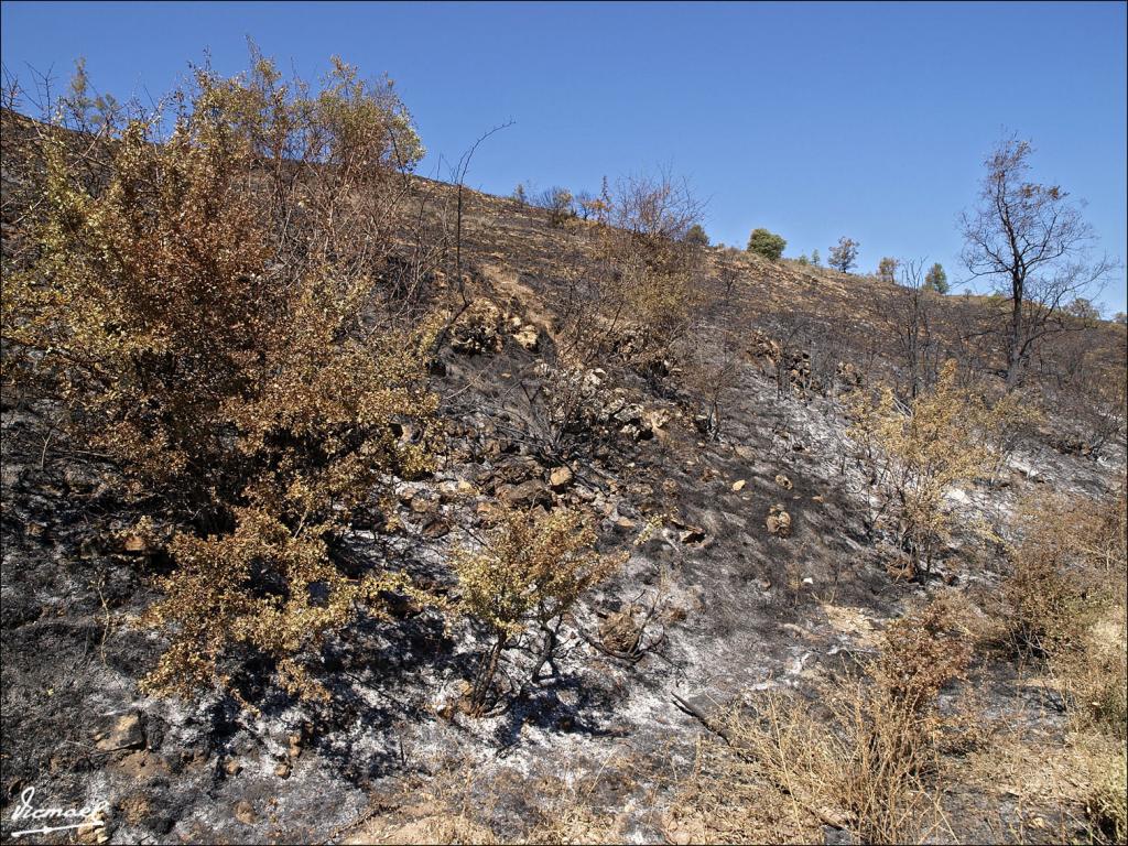Foto de Urex de Medinaceli (Soria), España