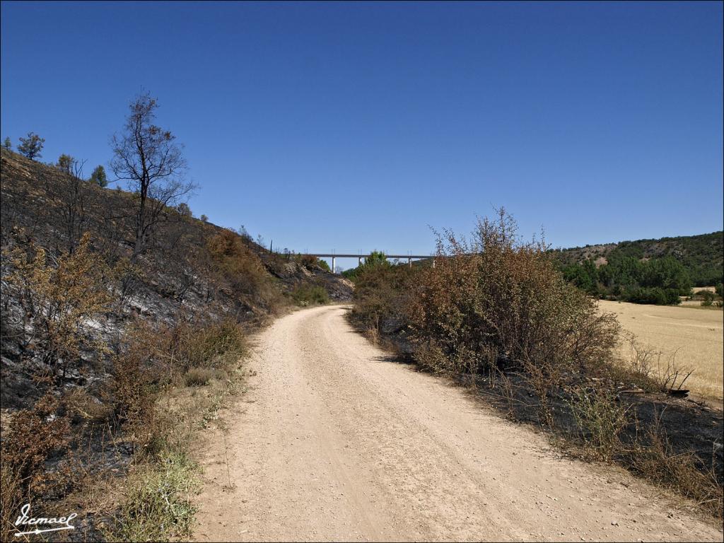 Foto de Urex de Medinaceli (Soria), España