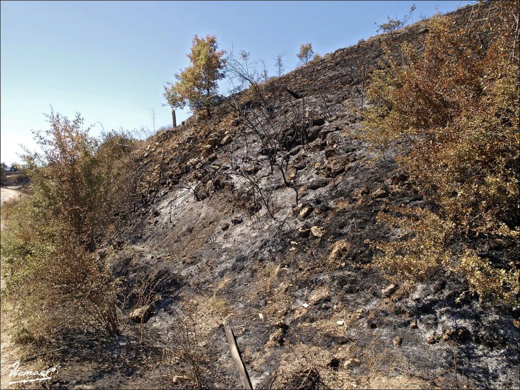 Foto de Urex de Medinaceli (Soria), España