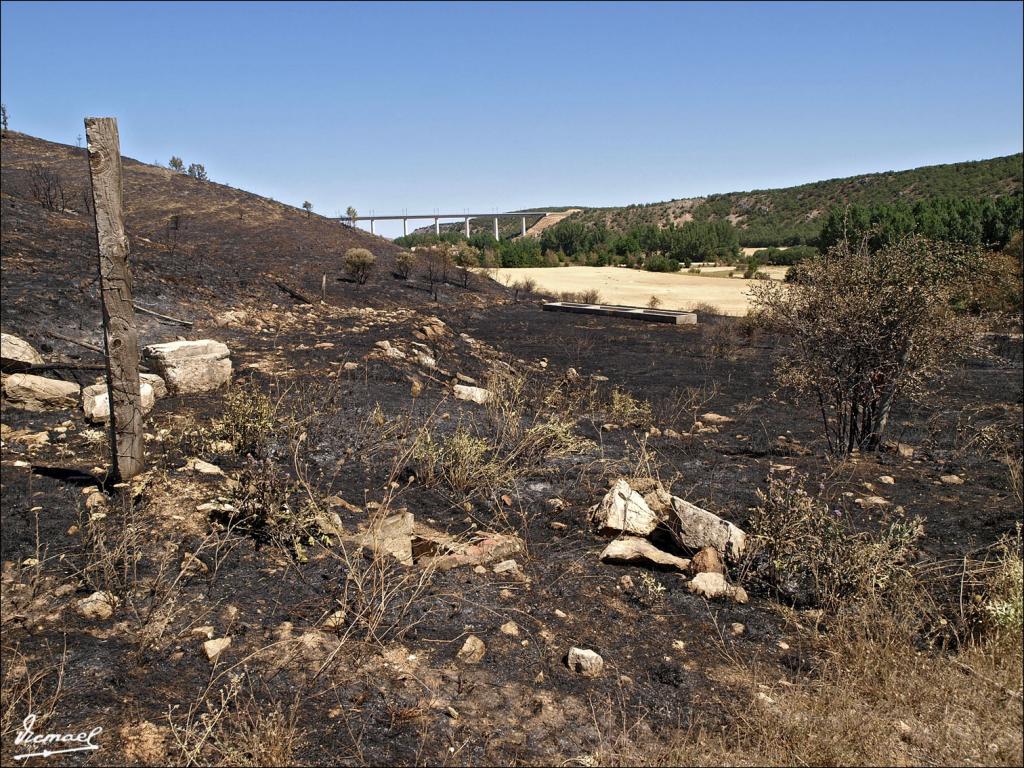 Foto de Urex de Medinaceli (Soria), España