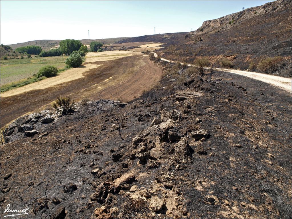 Foto de Urex de Medinaceli (Soria), España
