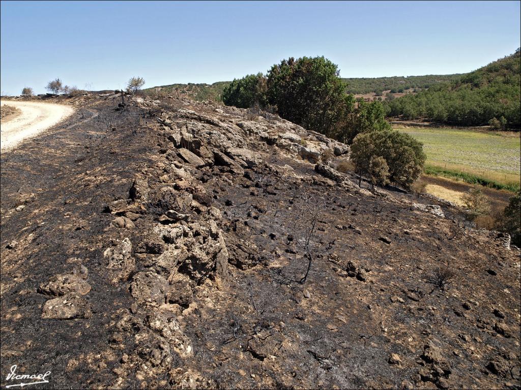 Foto de Urex de Medinaceli (Soria), España