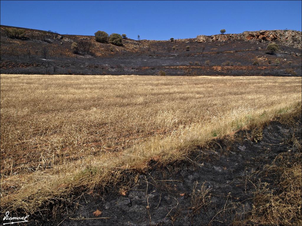 Foto de Urex de Medinaceli (Soria), España
