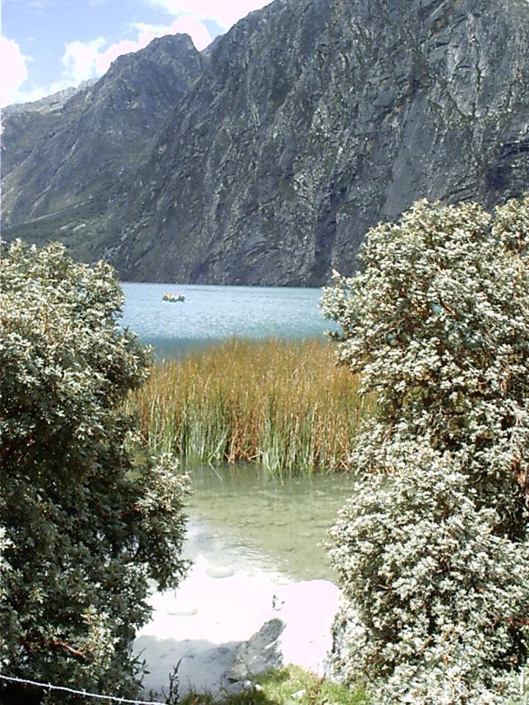 Foto de Huaraz (Laguna de LLanganuco), Perú
