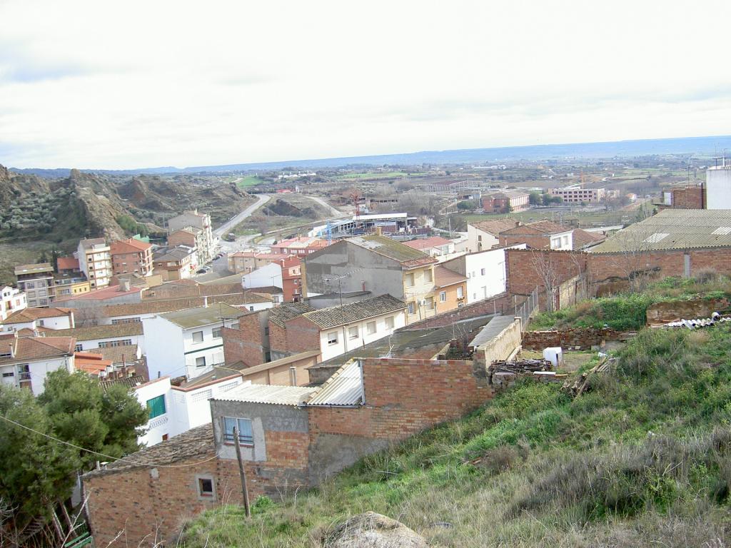 Ciudadano ¿Cómo Lechuguilla Foto de Tamarite de Litera (Huesca), España