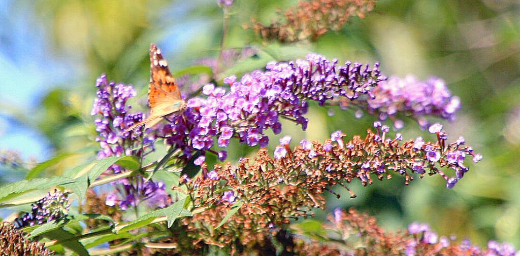 Foto de Beget (Girona), España