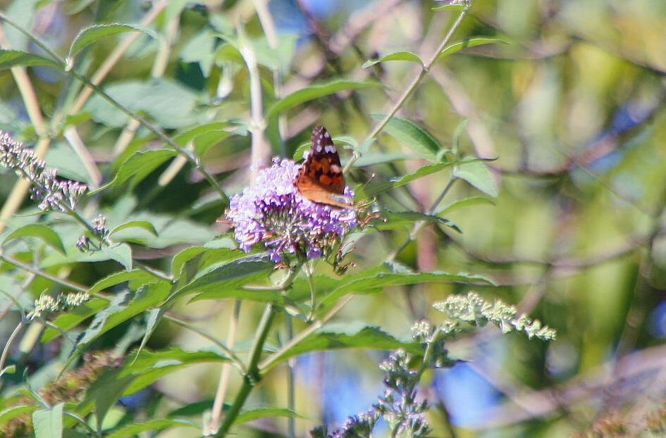 Foto de Beget (Girona), España