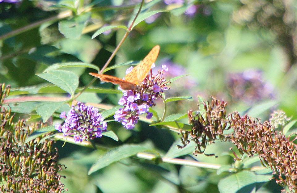 Foto de Beget (Girona), España
