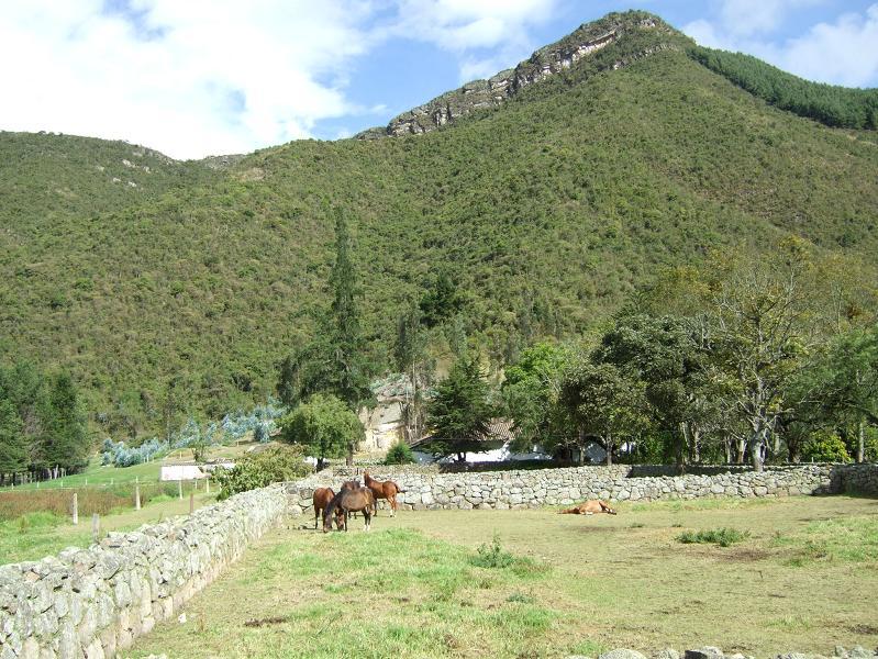 Foto de Lenguazaque, Colombia
