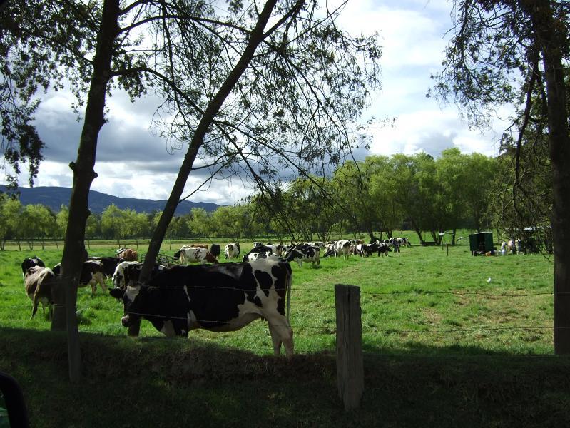 Foto de Ubate, Colombia