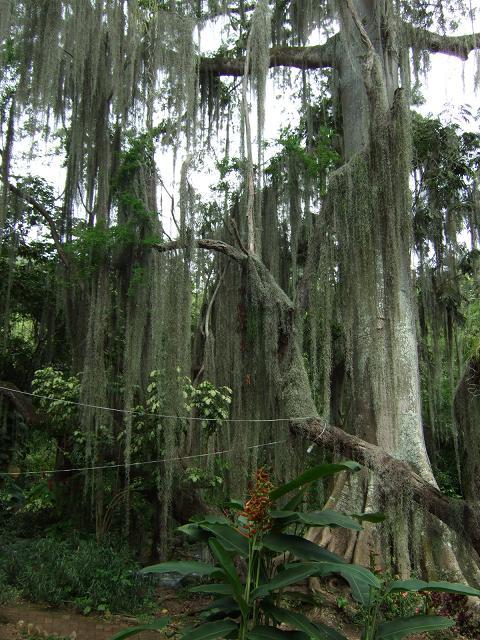 Foto de San Gil, Colombia