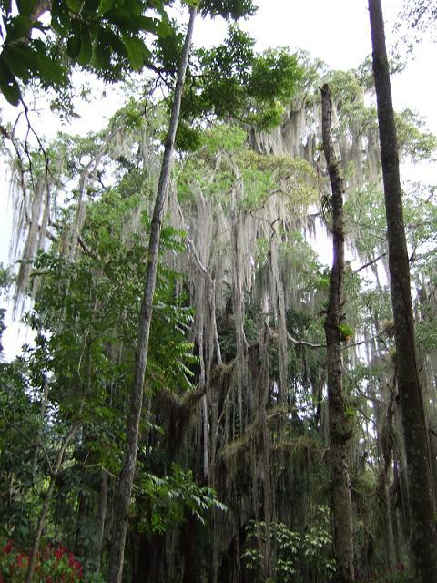 Foto de San Gil, Colombia
