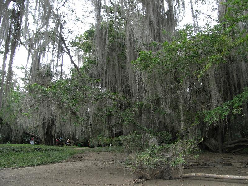Foto de San Gil, Colombia