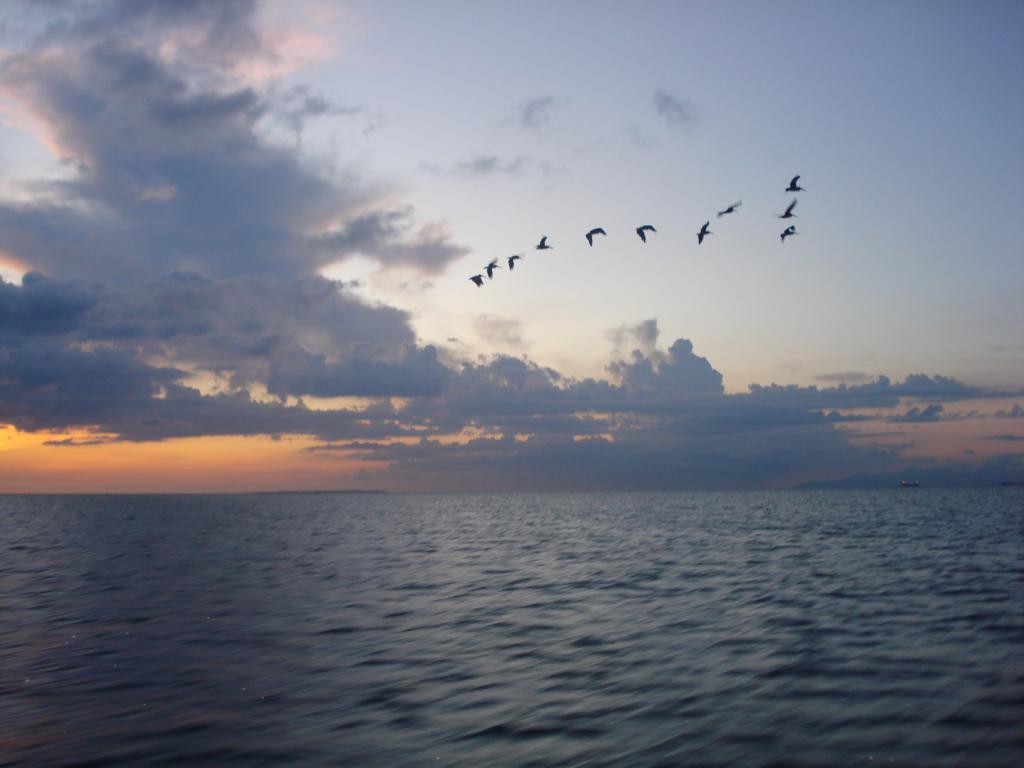 Foto de Isla de Coche, Venezuela