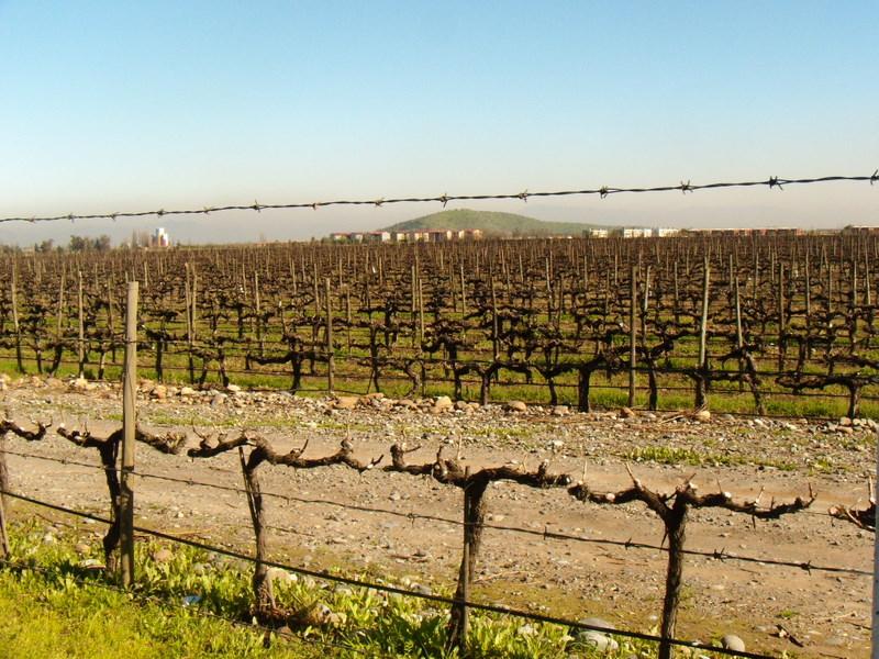 Foto de Pirque, Chile