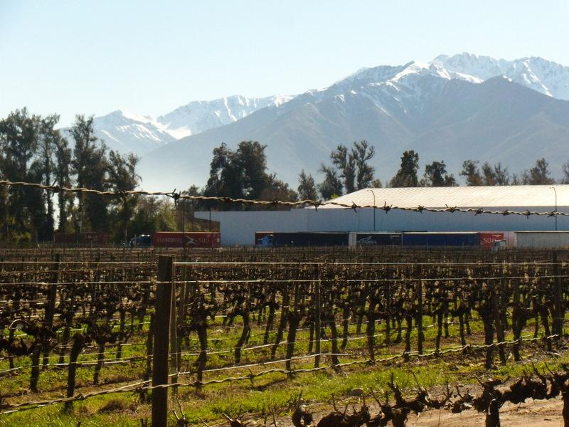 Foto de Pirque, Chile