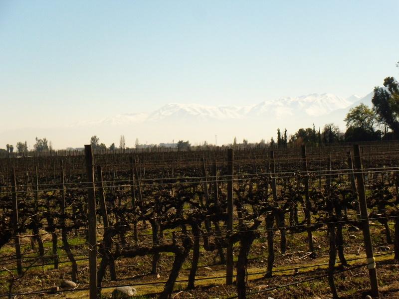 Foto de Pirque, Chile