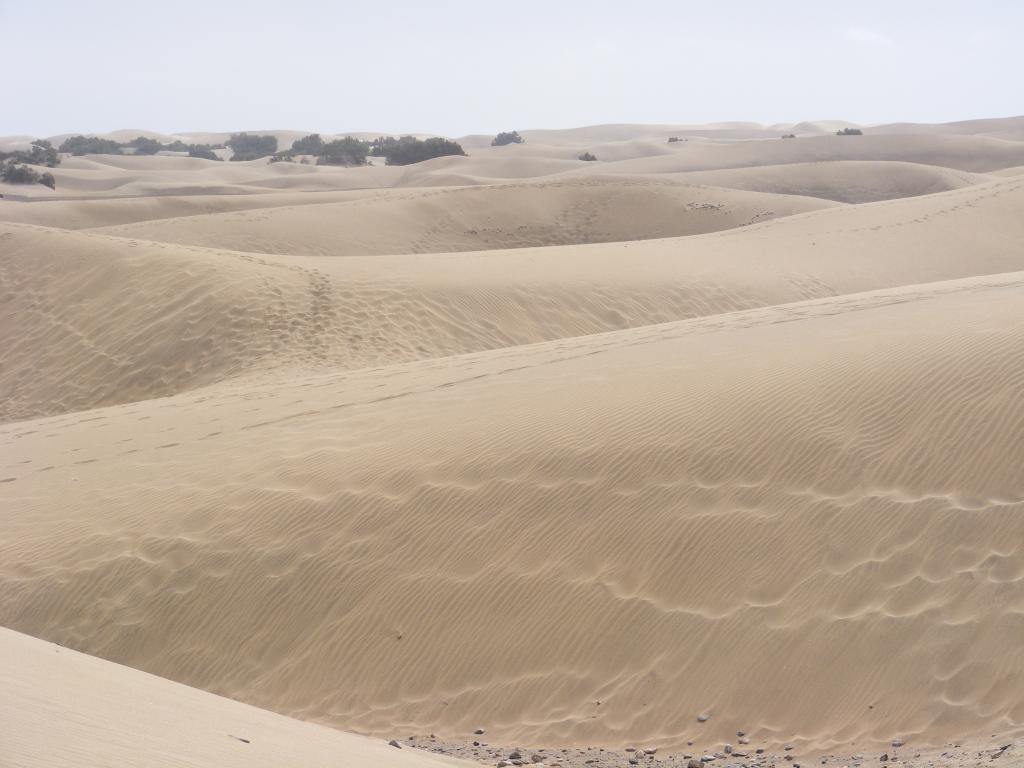 Foto de Maspalomas (Las Palmas), España