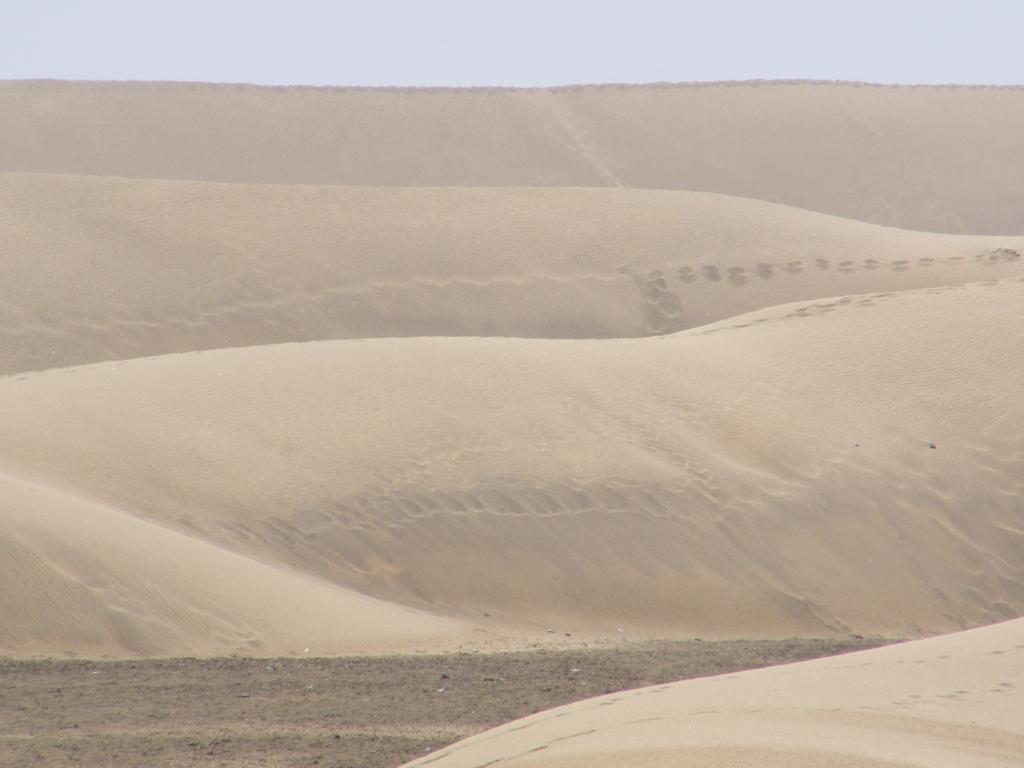 Foto de Maspalomas (Las Palmas), España